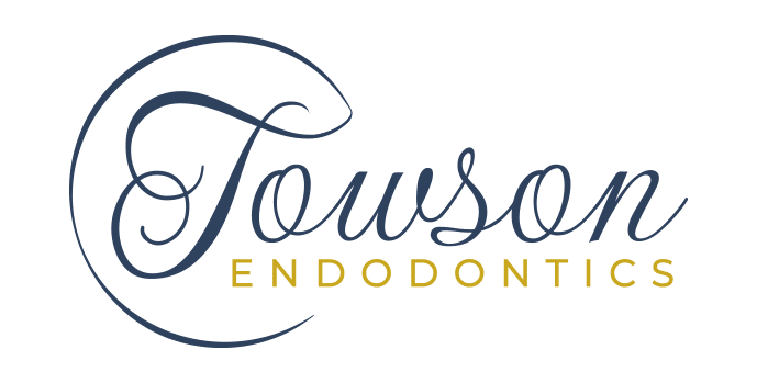 March 2025 Towson Logo Update Test